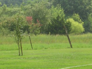 Picture 002 Picture 002